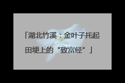 湖北竹溪：金叶子托起田埂上的“致富经”