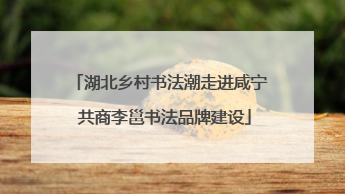 湖北乡村书法潮走进咸宁 共商李邕书法品牌建设