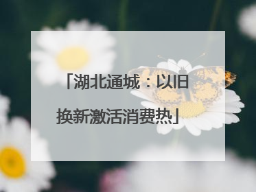 湖北通城：以旧换新激活消费热