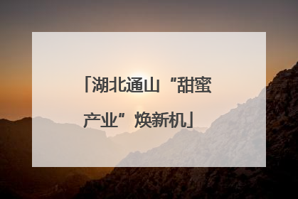湖北通山“甜蜜产业”焕新机