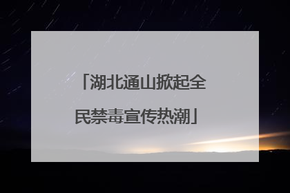 湖北通山掀起全民禁毒宣传热潮
