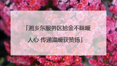 湘乡东服务区拾金不昧暖人心 传递温暖获赞扬