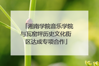 湘南学院音乐学院与瓦窑坪历史文化街区达成专项合作