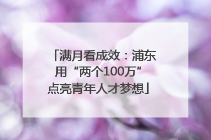 满月看成效：浦东用“两个100万”点亮青年人才梦想