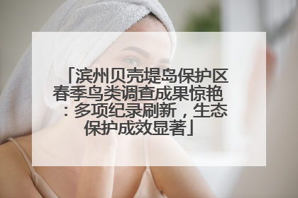 滨州贝壳堤岛保护区春季鸟类调查成果惊艳：多项纪录刷新，生态保护成效显著