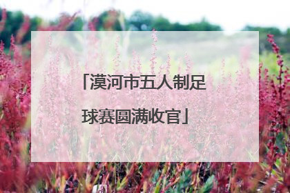 漠河市五人制足球赛圆满收官