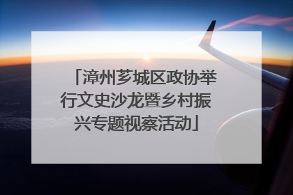 漳州芗城区政协举行文史沙龙暨乡村振兴专题视察活动