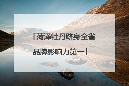 菏泽牡丹跻身全省品牌影响力第一