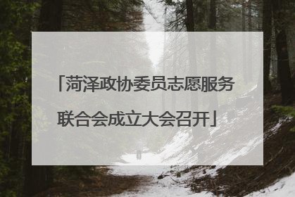 菏泽政协委员志愿服务联合会成立大会召开