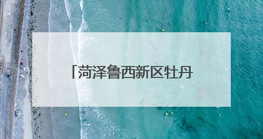 菏泽鲁西新区牡丹文创亮相第二十一届中国（深圳）国际文化产业博览交易会