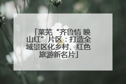 莱芜“齐鲁情 映山红”片区：打造全域景区化乡村、红色旅游新名片