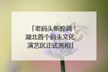 老码头新腔调！湖北首个码头文化演艺区正式亮相