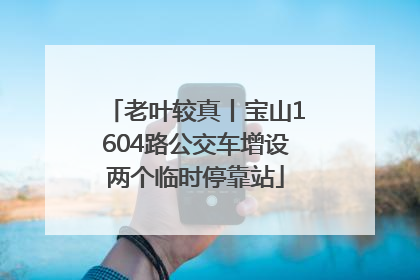 老叶较真丨宝山1604路公交车增设两个临时停靠站
