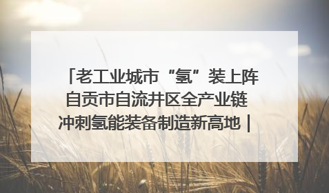 老工业城市“氢”装上阵 自贡市自流井区全产业链冲刺氢能装备制造新高地｜美好生活有“盐”味