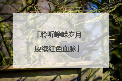 聆听峥嵘岁月 赓续红色血脉
