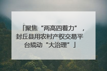 聚焦“两高四着力”，封丘县用农村产权交易平台撬动“大治理”