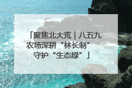 聚焦北大荒｜八五九农场深耕“林长制” 守护“生态绿”