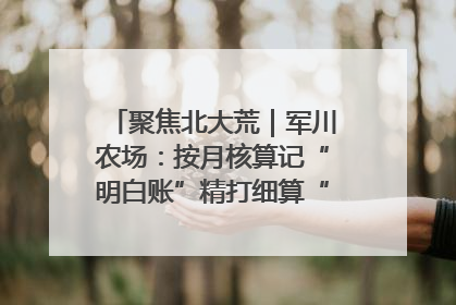 聚焦北大荒｜军川农场：按月核算记“明白账”精打细算“过紧日子”