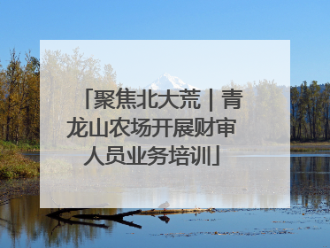 聚焦北大荒｜青龙山农场开展财审人员业务培训