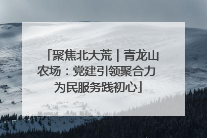 聚焦北大荒｜青龙山农场：党建引领聚合力 为民服务践初心