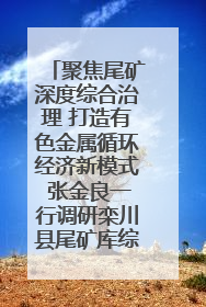聚焦尾矿深度综合治理 打造有色金属循环经济新模式 张金良一行调研栾川县尾矿库综合治理工作