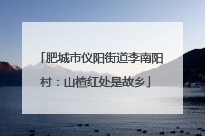 肥城市仪阳街道李南阳村：山楂红处是故乡
