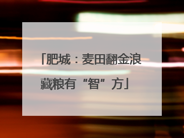 肥城：麦田翻金浪藏粮有“智”方