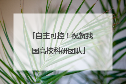 自主可控！祝贺我国高校科研团队