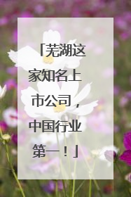 芜湖这家知名上市公司，中国行业第一！