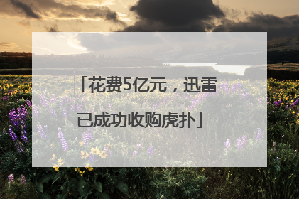 花费5亿元，迅雷已成功收购虎扑