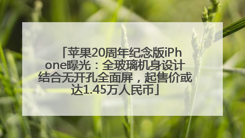 苹果20周年纪念版iPhone曝光：全玻璃机身设计结合无开孔全面屏，起售价或达1.45万人民币