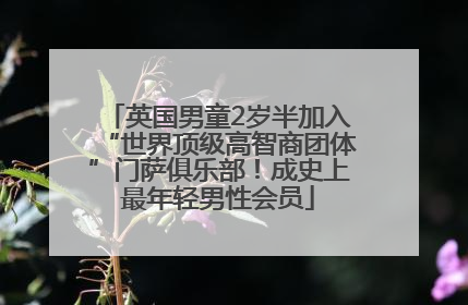 英国男童2岁半加入“世界顶级高智商团体”门萨俱乐部！成史上最年轻男性会员