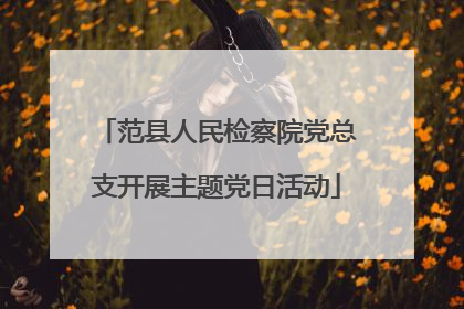 范县人民检察院党总支开展主题党日活动