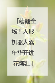 萌翻全场！人形机器人嘉年华开进花博汇