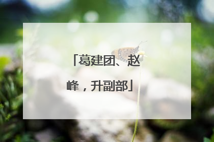 葛建团、赵峰，升副部