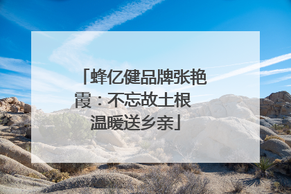 蜂亿健品牌张艳霞：不忘故土根 温暖送乡亲