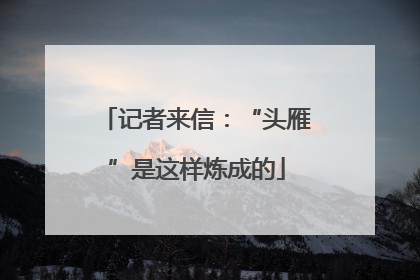 记者来信：“头雁”是这样炼成的