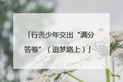 行善少年交出“满分答卷”（追梦路上）