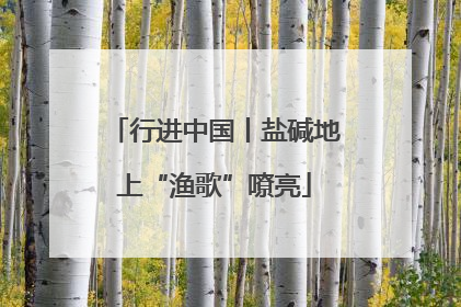行进中国丨盐碱地上“渔歌”嘹亮