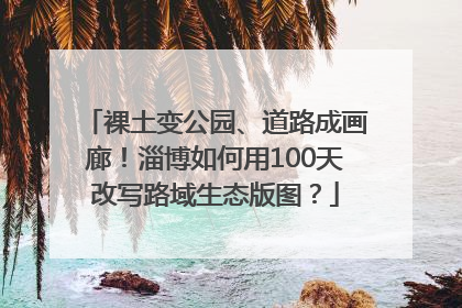 裸土变公园、道路成画廊！淄博如何用100天改写路域生态版图？