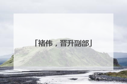 褚伟，晋升副部