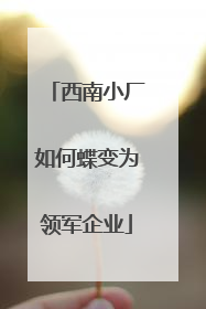 西南小厂如何蝶变为领军企业