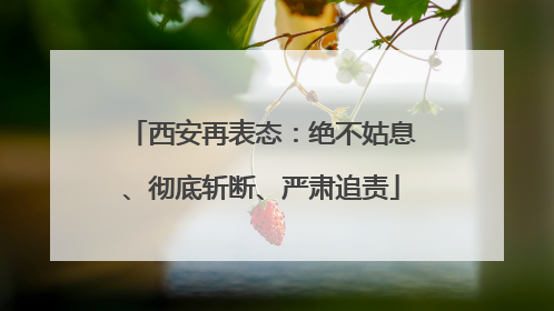 西安再表态：绝不姑息、彻底斩断、严肃追责