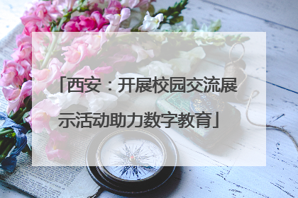 西安：开展校园交流展示活动助力数字教育