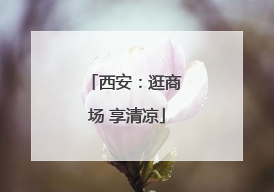 西安：逛商场 享清凉