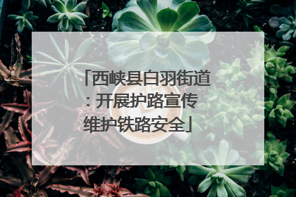 西峡县白羽街道：开展护路宣传 维护铁路安全