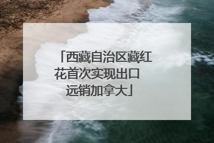 西藏自治区藏红花首次实现出口 远销加拿大