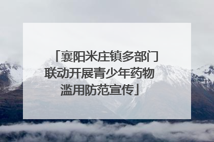 襄阳米庄镇多部门联动开展青少年药物滥用防范宣传