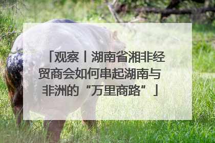 观察丨湖南省湘非经贸商会如何串起湖南与非洲的“万里商路”