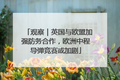 观察｜英国与欧盟加强防务合作，欧洲中程导弹竞赛或加剧